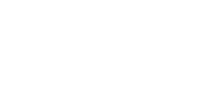 team STAG logo